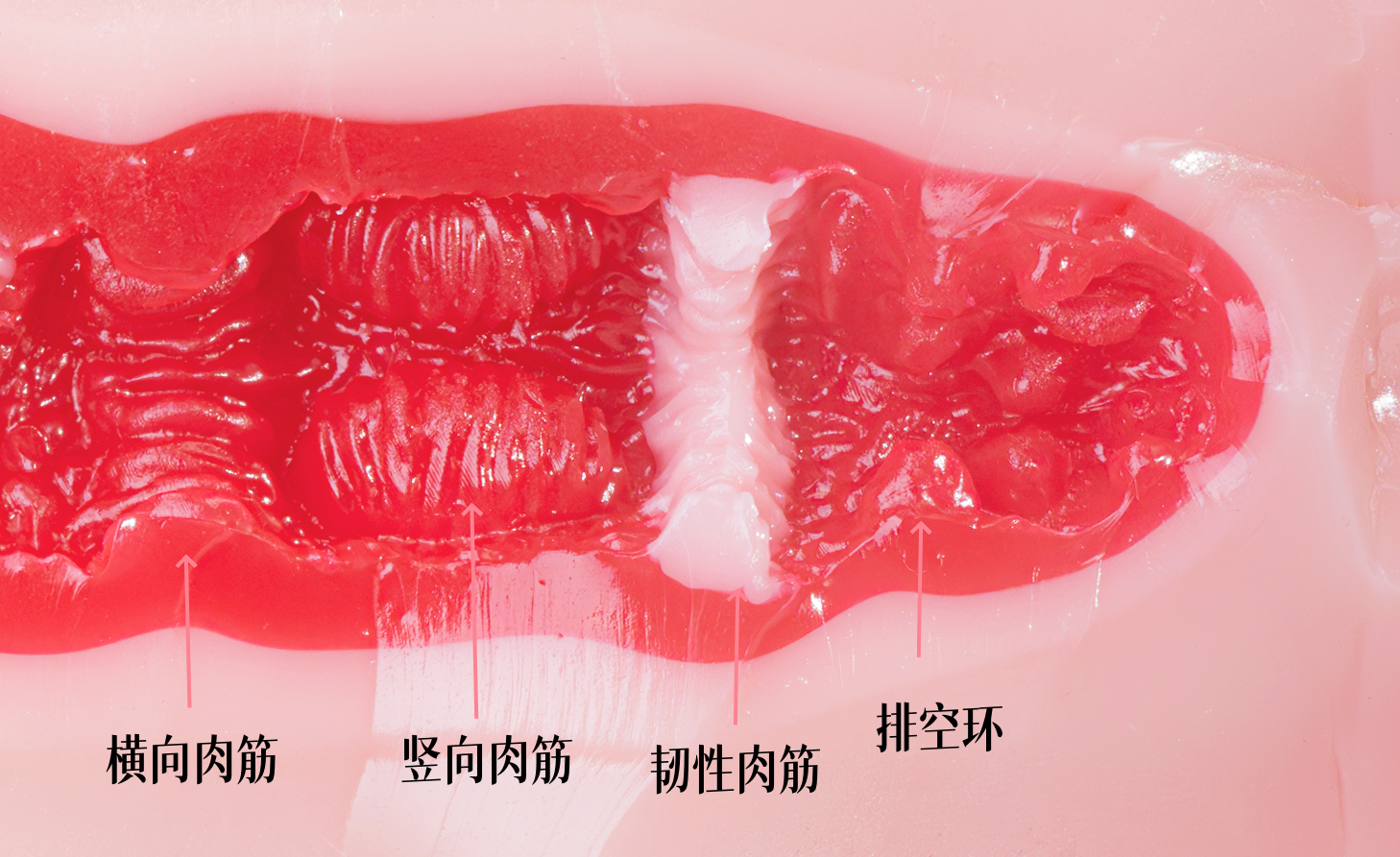 _DSC1083_副本1.png